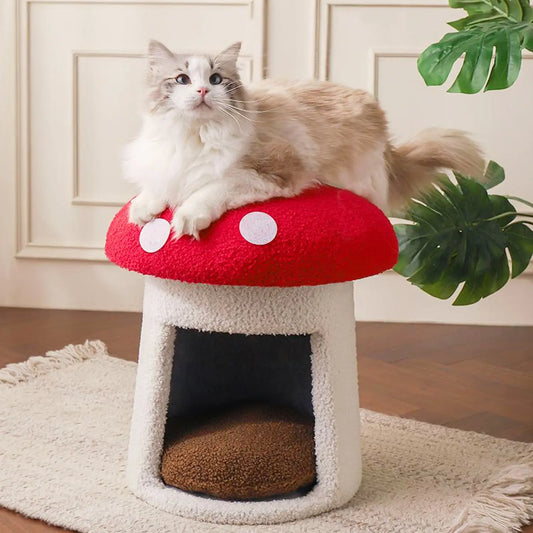 Cute Mushroom Cat House, Semi-Enclosed Hideaway, All-Season Bed for Indoor Small Cats
