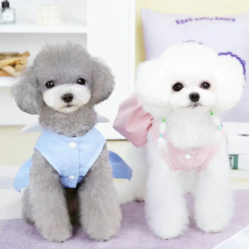 Angel Traction Dress Spring/Summer New Dog Clothes for Teddy, French Bulldog, Small Dogs, Pet Supplies Breathable Girl Pet Dress Set