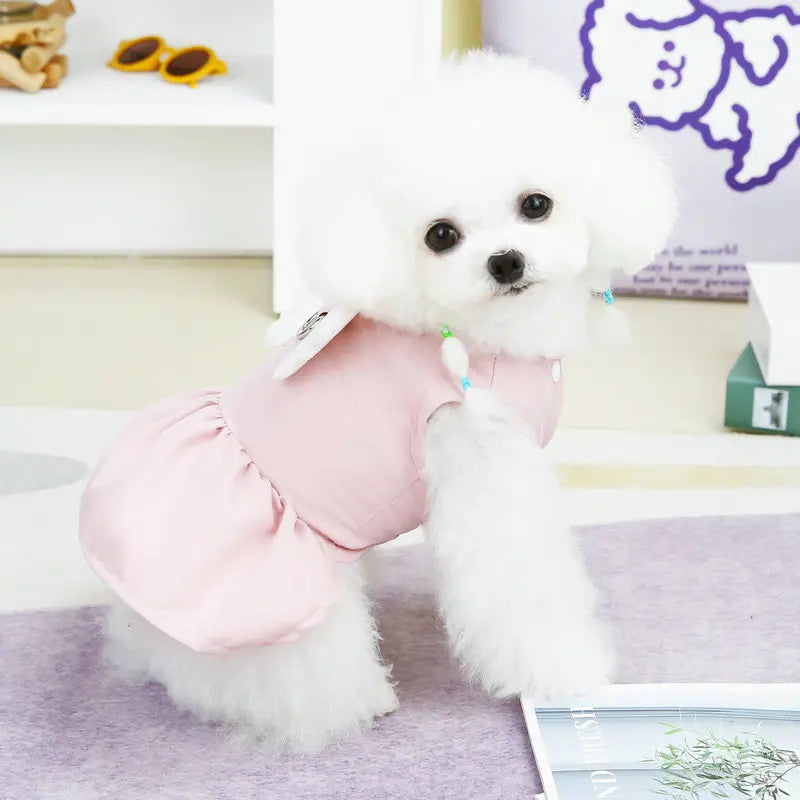 Angel Traction Dress Spring/Summer New Dog Clothes for Teddy, French Bulldog, Small Dogs, Pet Supplies Breathable Girl Pet Dress Set