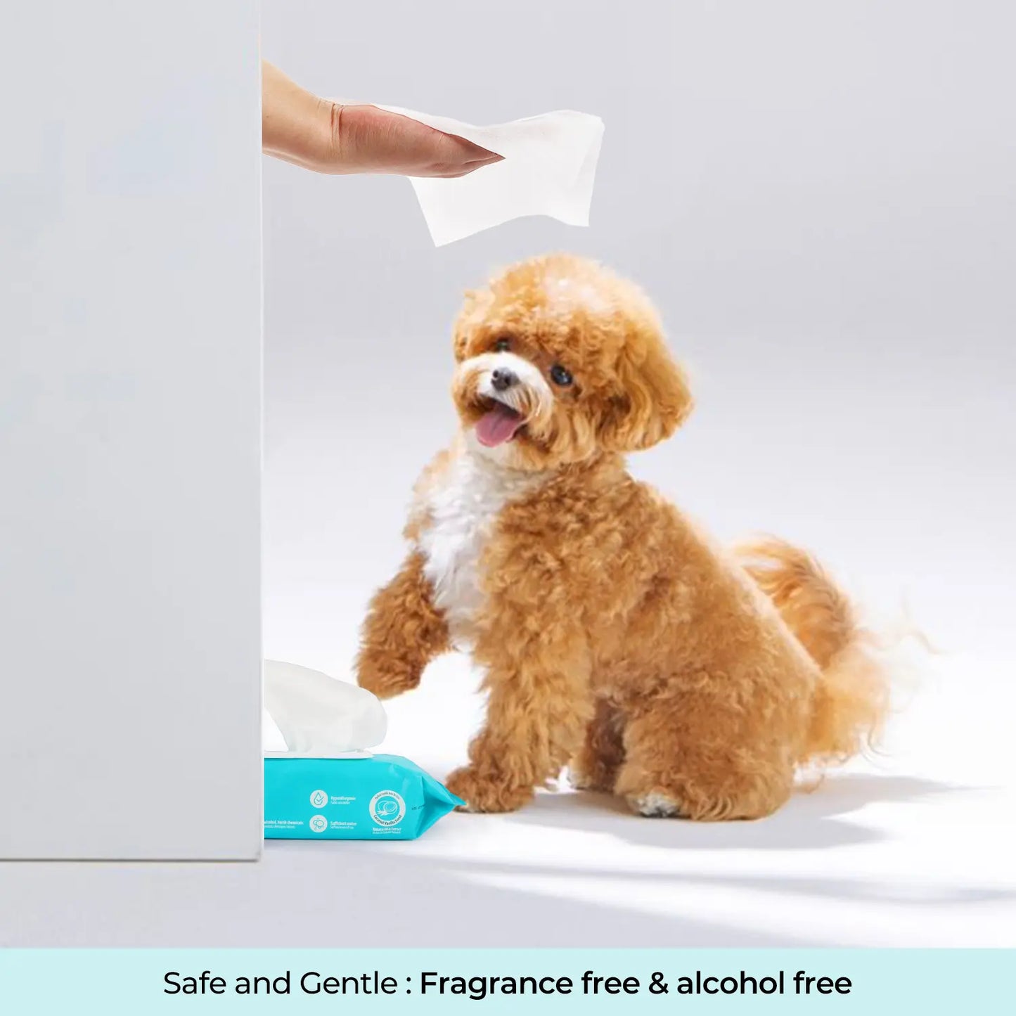 Allforpaws Pet Glove Wipes 100Pcs Coconut Vanilla Flavored Alcohol-Free Cleaning Wipes Grooming Wipes Jumbo Deodorizing Grooming Wipes with Jojoba & Coconut Oils for Safe Hydration and Odor Control