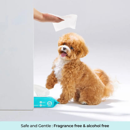 Allforpaws Pet Glove Wipes 100Pcs Coconut Vanilla Flavored Alcohol-Free Cleaning Wipes Grooming Wipes Jumbo Deodorizing Grooming Wipes with Jojoba & Coconut Oils for Safe Hydration and Odor Control