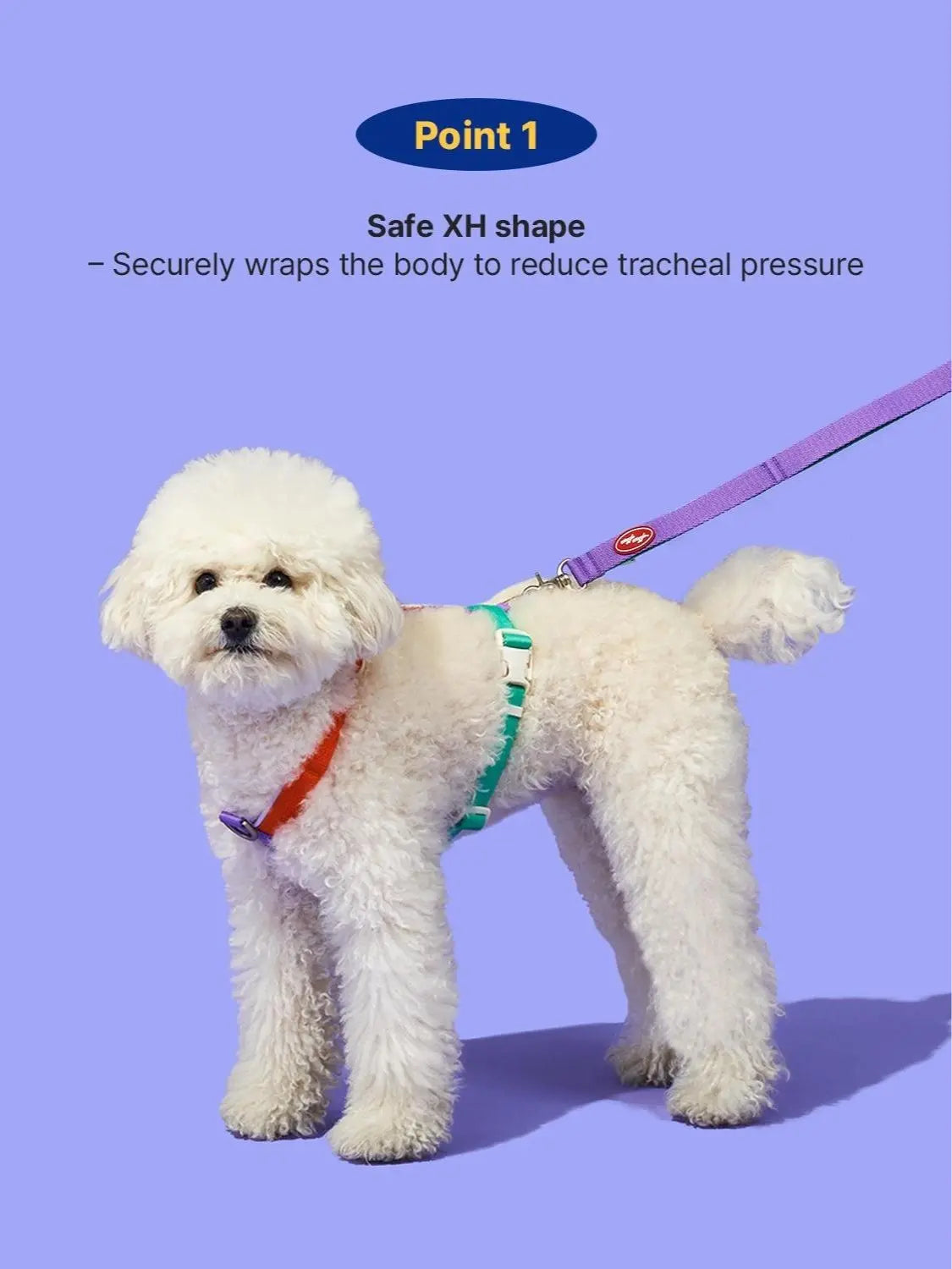 PETHROOM X Wiggle Wiggle Backpack Harness & Leash Set for Dogs - Wiggle Bear
