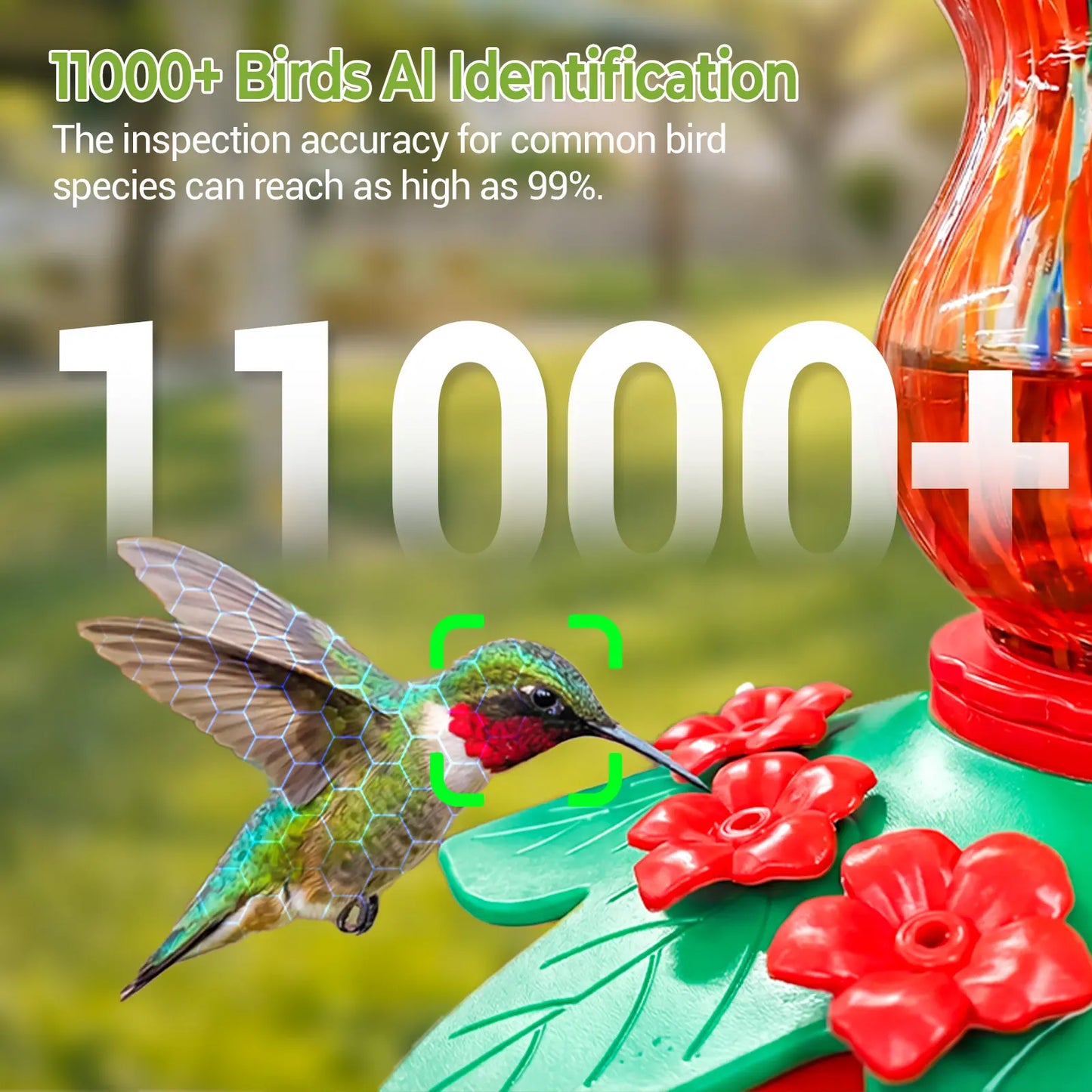 Smart Hummingbird Feeder with Camera, 2.5K HD Hand Blown Glass Bird Feeders for Outdoors, 47.07 Oz Solar Powered with AI Bird ID, Auto Capture, Motion Alert, Ant Moat, Alexa & Google Compatible, Gift for Bird Lovers & Father'S Day Gift