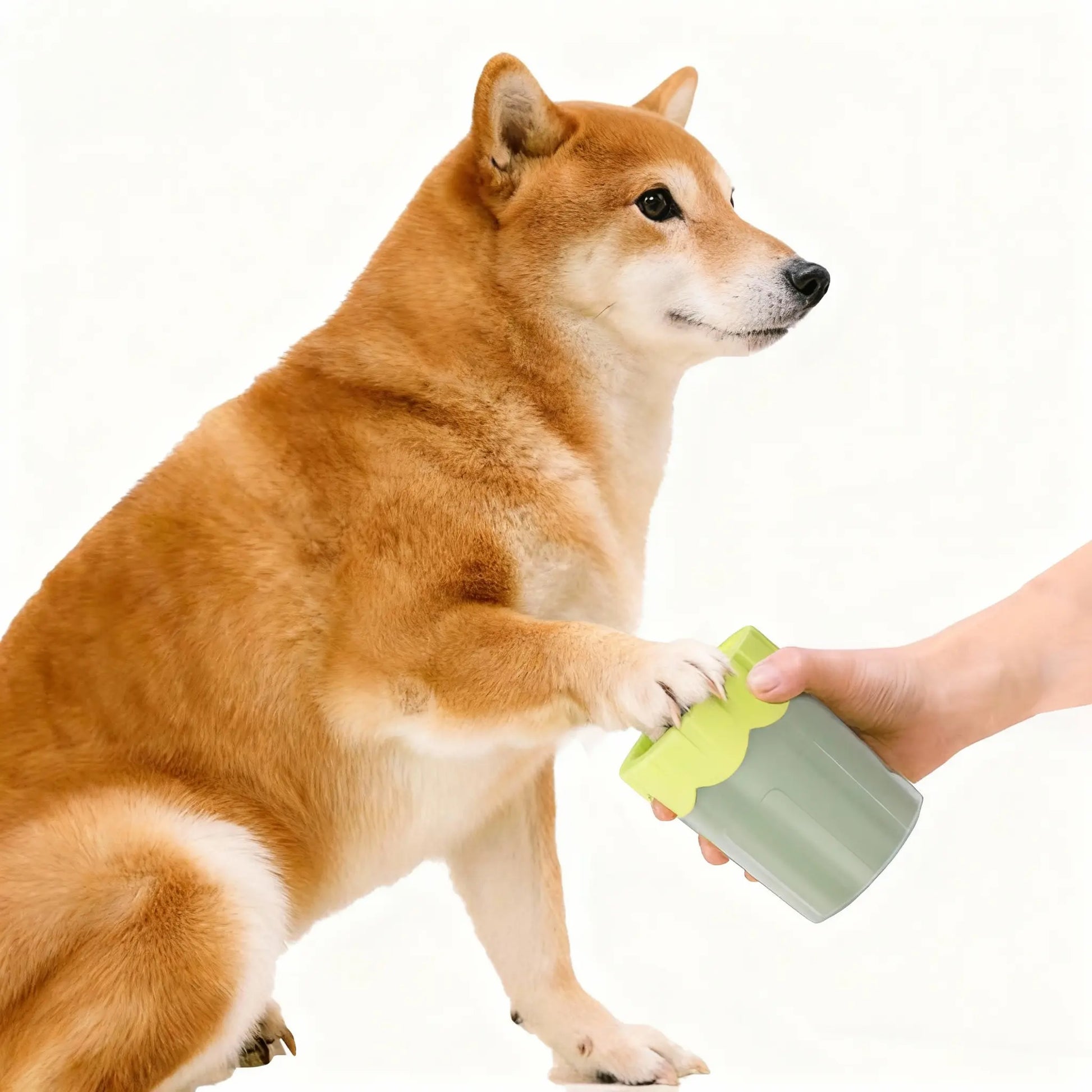 Petsafe Portable Dog Paw Cleaner Cup with Soft Silicone Bristles for Easy Mud Removal & Gentle Pet Care Eco-Friendly Bpa-Free Ideal for Indoor Outdoor Use Travel Friendly Design