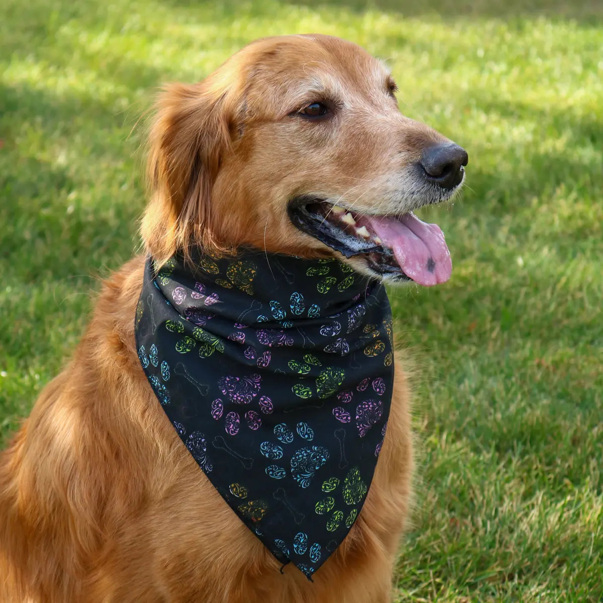 CTM Colorful Dog Paw Print Bandana